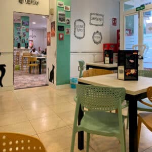 Tapería-en-Mérida-la-tia-birra-espacios-interior5